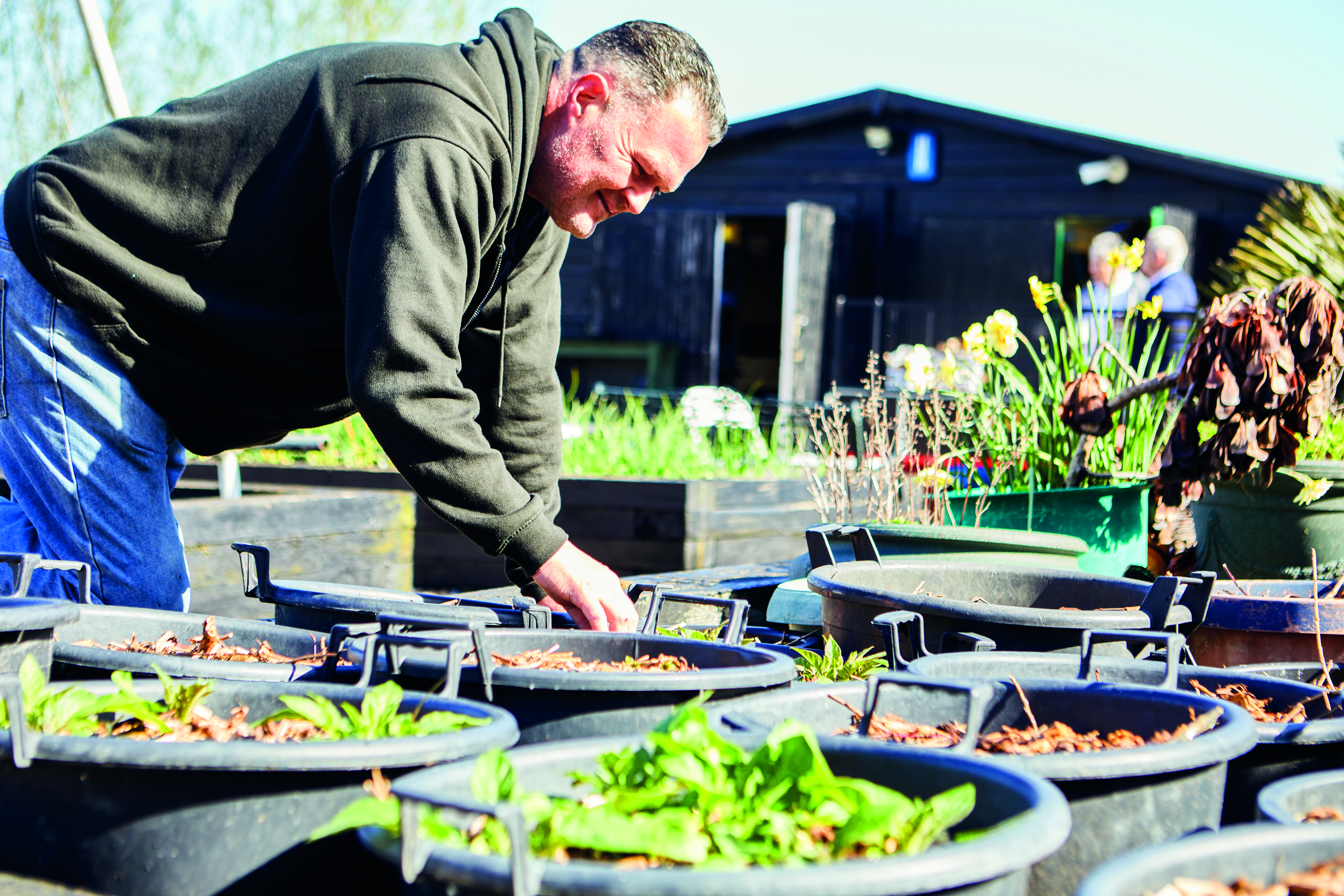 A man with black hair in the gardens helping with planting