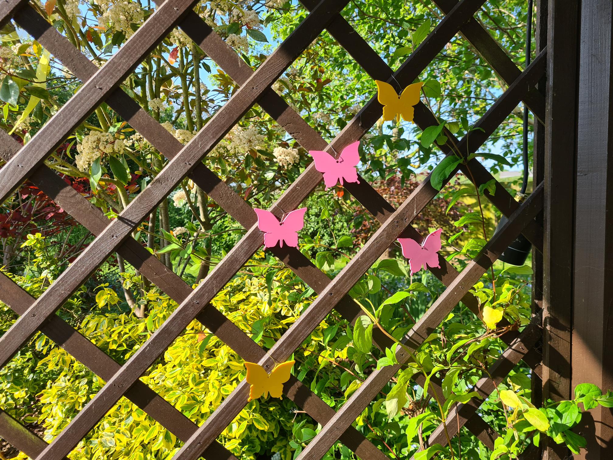 Plastic butterflies on display wall