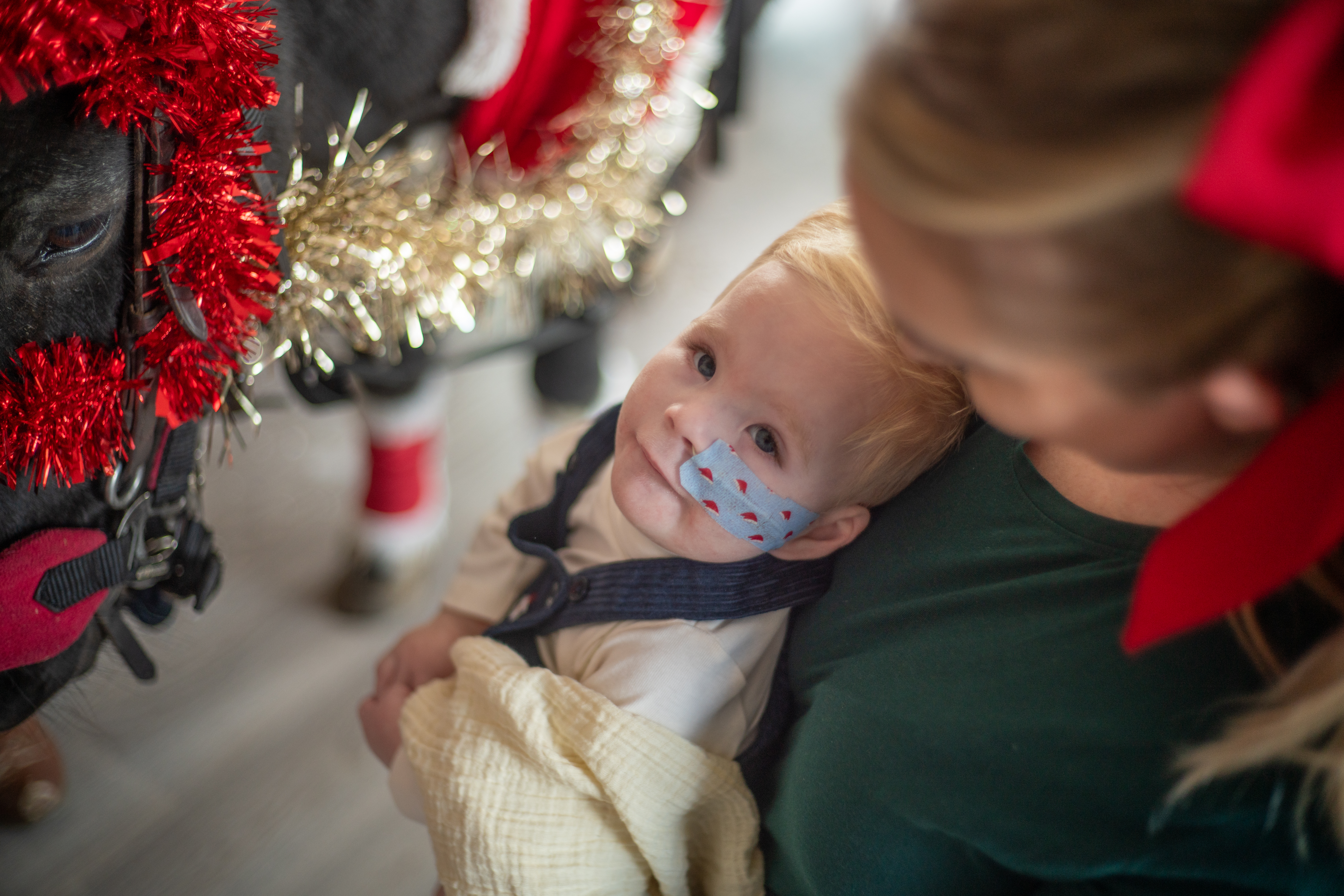 Person holding a young child; a donkey decorated with red and gold tinsel is visible in the background.