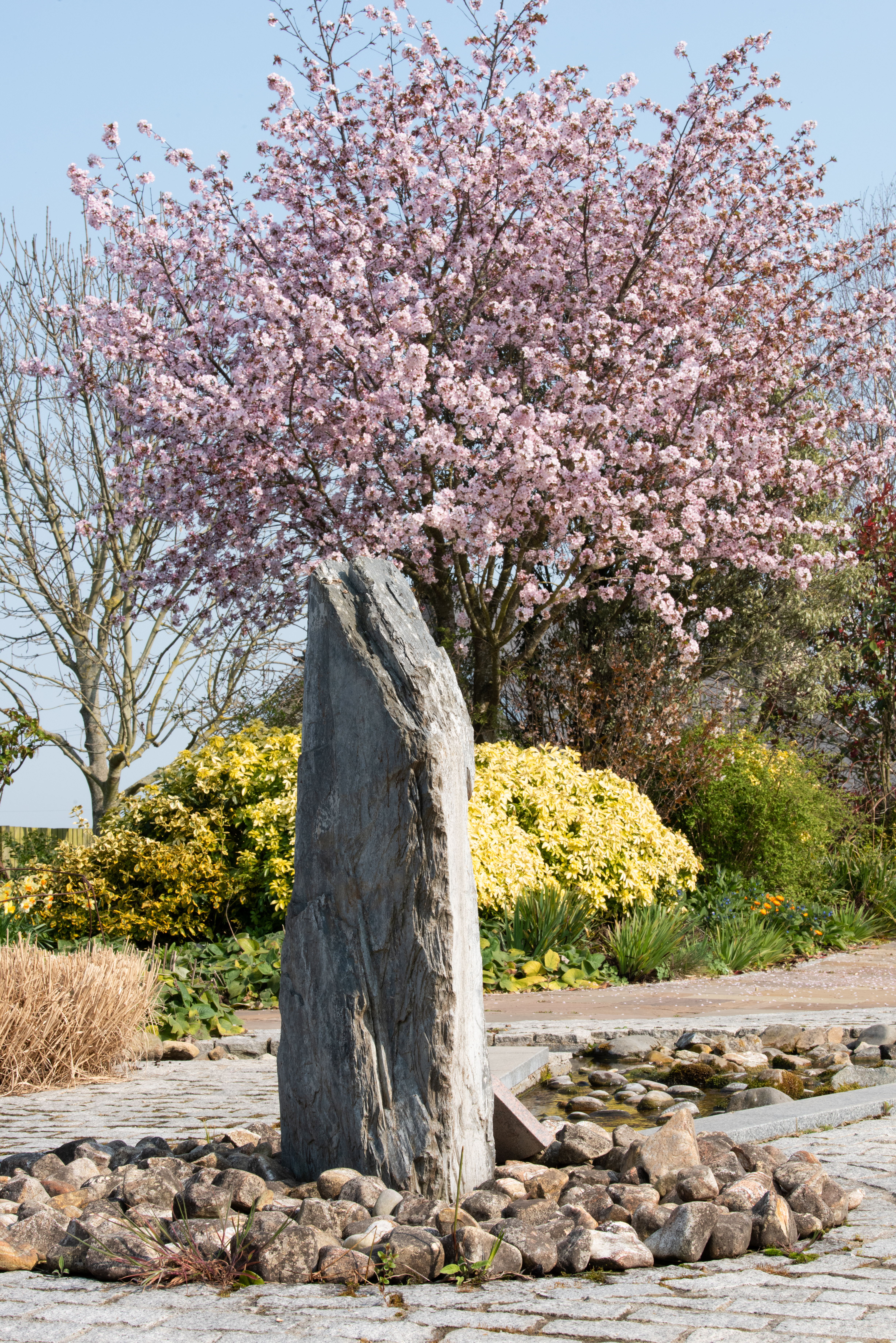 Garden of Tranquillity 
