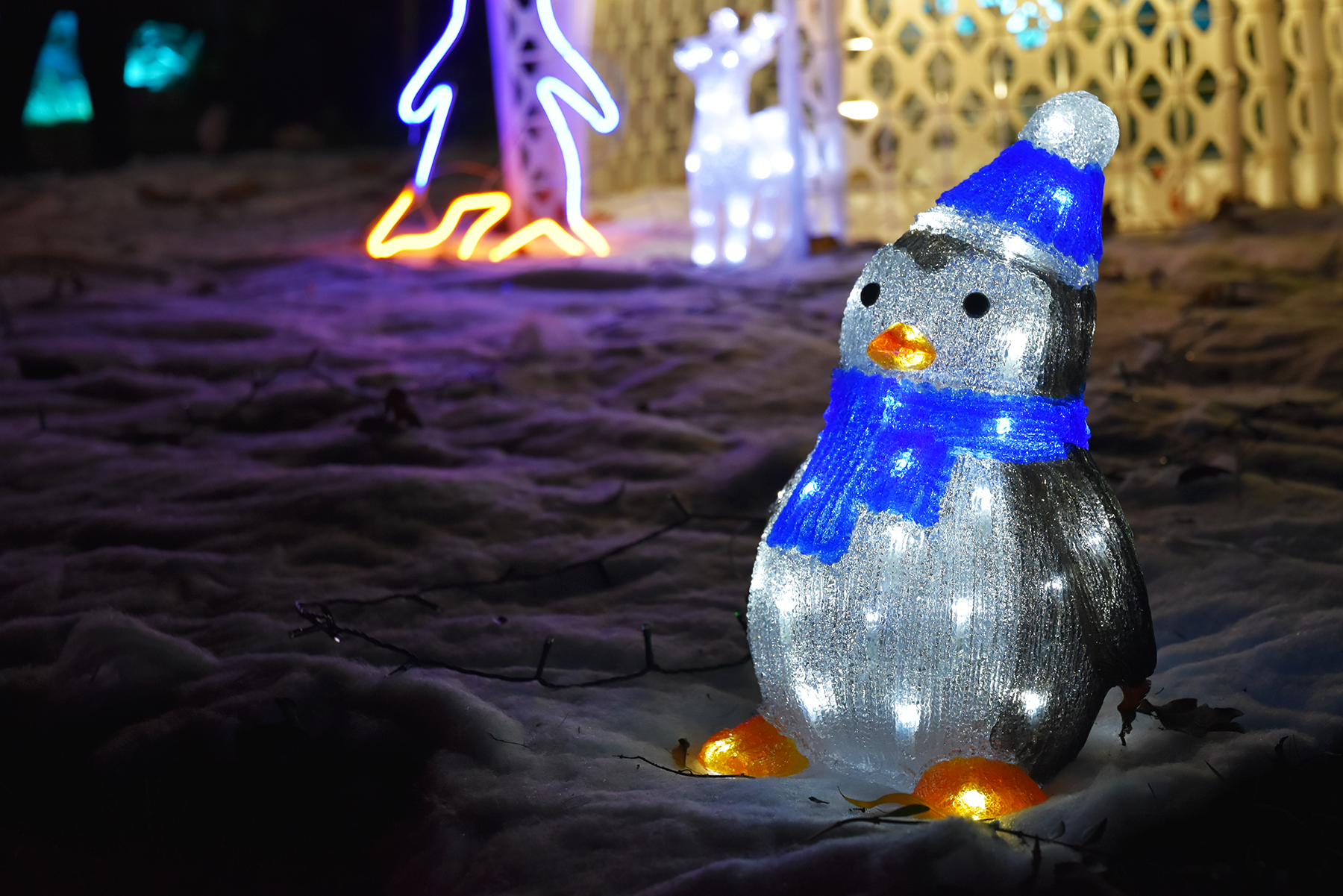 A Penguin outside light in Demelza's Garden at the Elf Trail