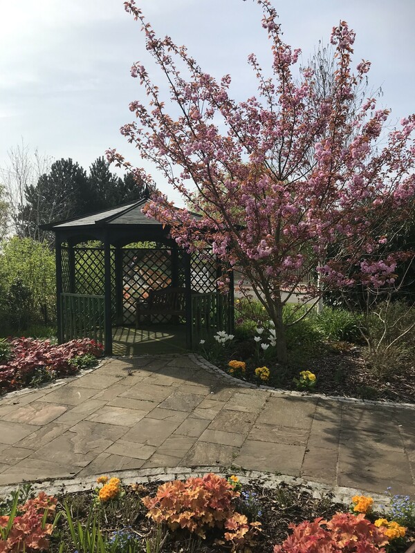 A cherry blossom tree, flower beds, and a permanent gazebo in the gardens at Kent Hospice, offering a peaceful place to sit.
